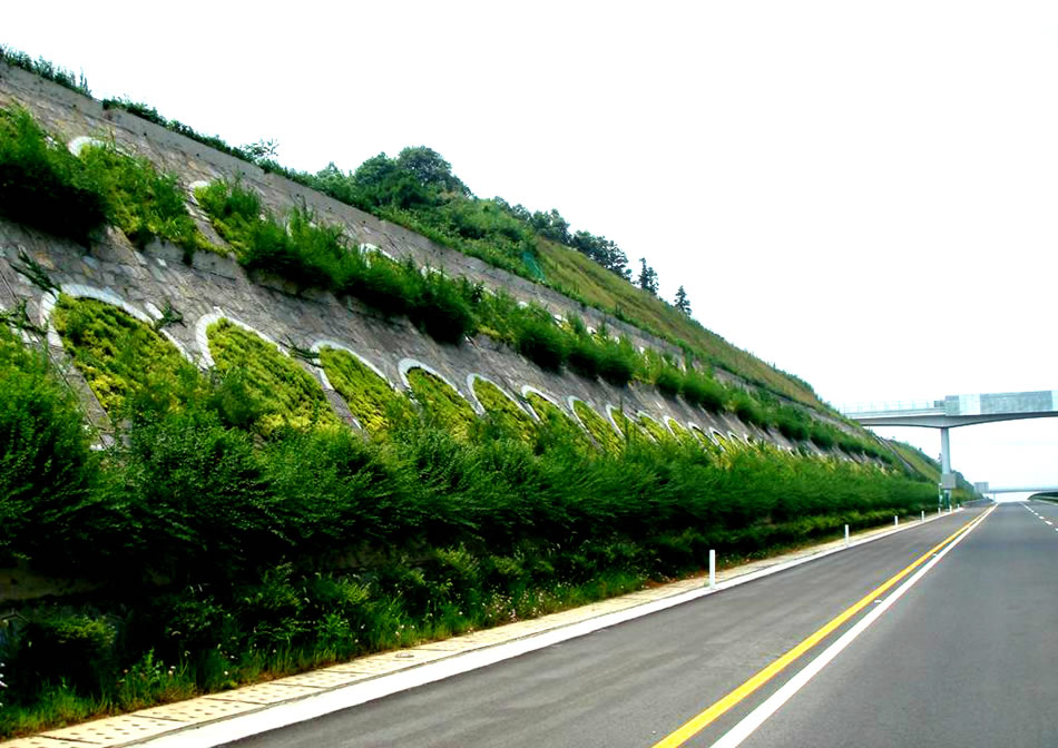 湖北沪蓉西高速公路绿化
