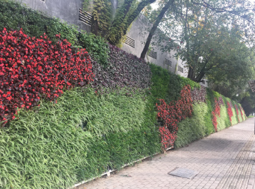 黄石市一道路段挡土墙立体绿化